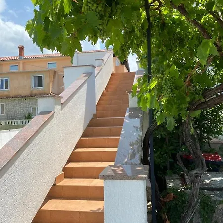 Guest house Simag
